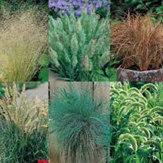 Product showcase image from staged upload