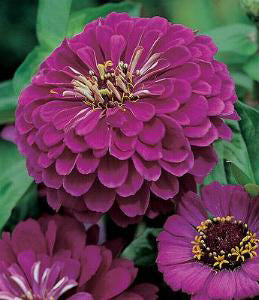 Product showcase image from staged upload