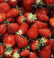 Aardbeien_Sweet_Fresca