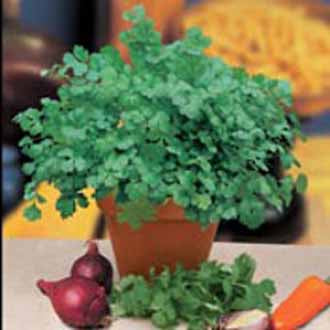 Product showcase image from staged upload