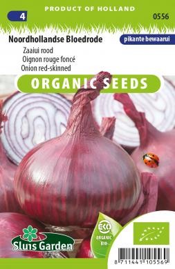 Ui Noorhollandse Bloedrode