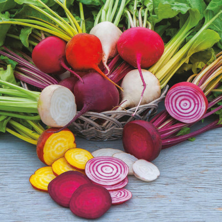 Bieten of Kroten Kleurenmix