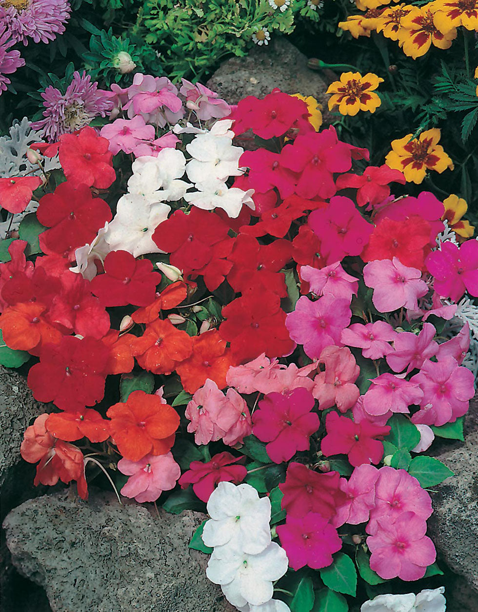 Product showcase image from staged upload