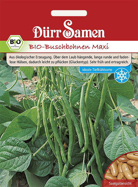 Product showcase image from staged upload