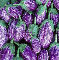 Aubergine_listadia