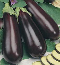 Aubergine Halflange Violette