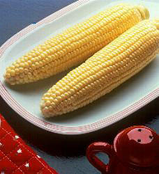 Mais Suikermais Bodacious RM F1