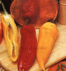 Paprika s Corno di torro mix