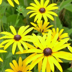 Product showcase image from staged upload