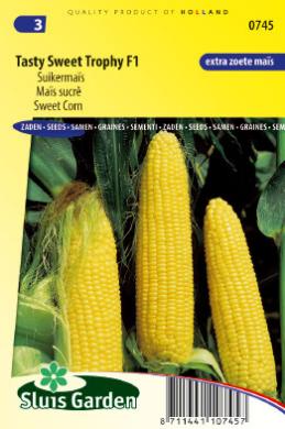 Product showcase image from staged upload